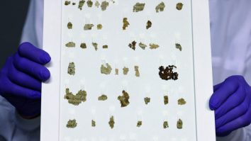 Zeci de fragmente de pergament cu texte biblice, găsite de arheologii israelieni în zona Mării Moarte. Au fost ascunse acum 1.900 de ani