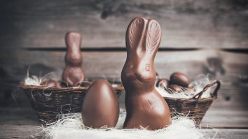 iepuras-paste-ciocolata