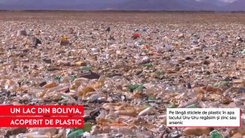 Lacul acoperit în totalitate de gunoi. Situația a scăpat de sub control de 10 ani