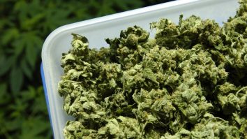 Casa Albă ar fi dat afară angajații care au recunoscut că au consumat marijuana