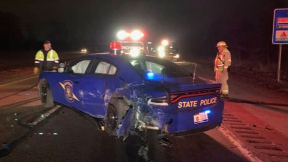 O mașină Tesla pe pilot automat a lovit un echipaj de poliție. Șoferul avea permisul suspendat