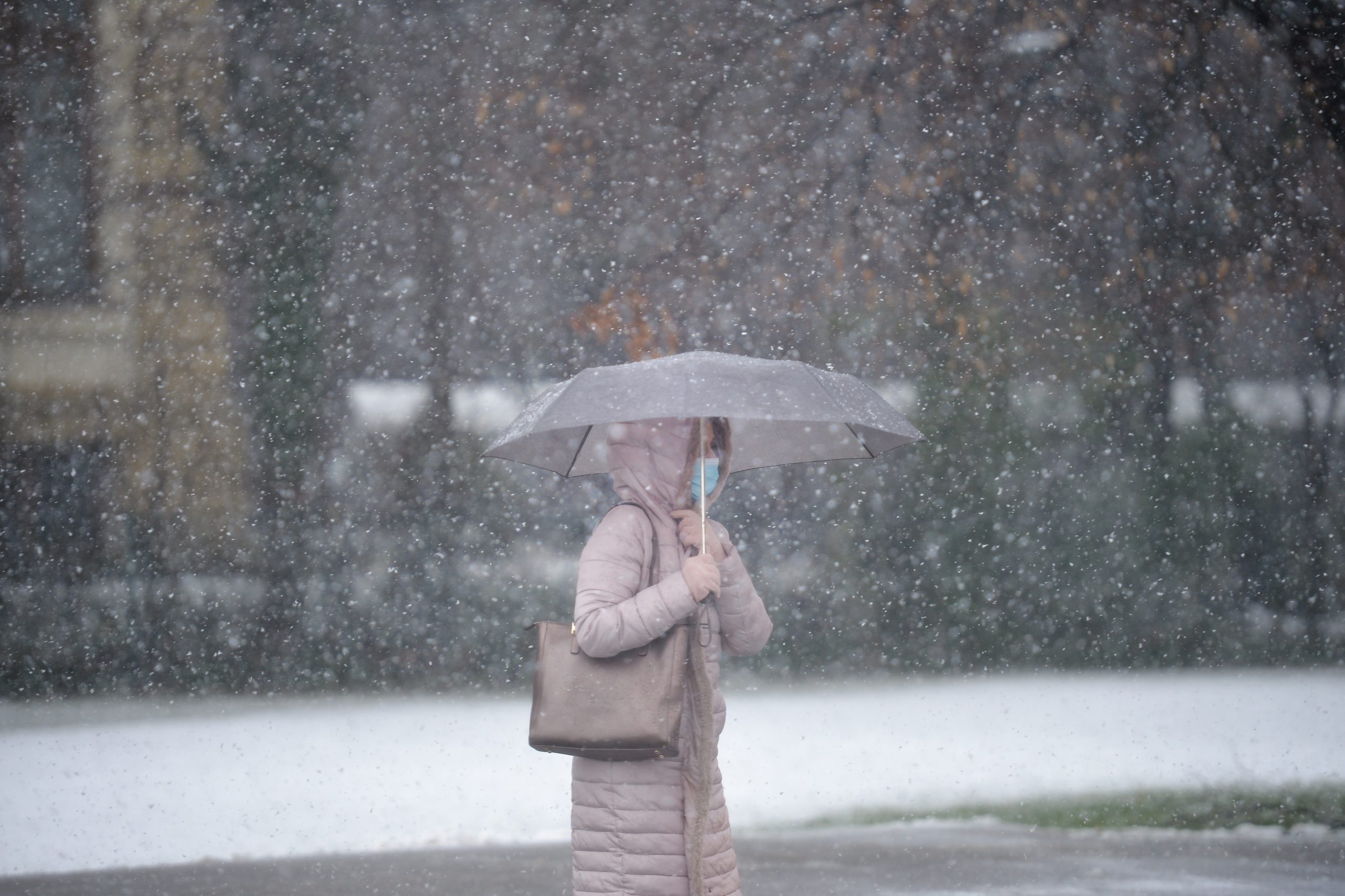 METEO. ANM a emis un Cod Galben de ninsori și viscol valabil în 16 județe. Vânt și frig în aproape toată țara