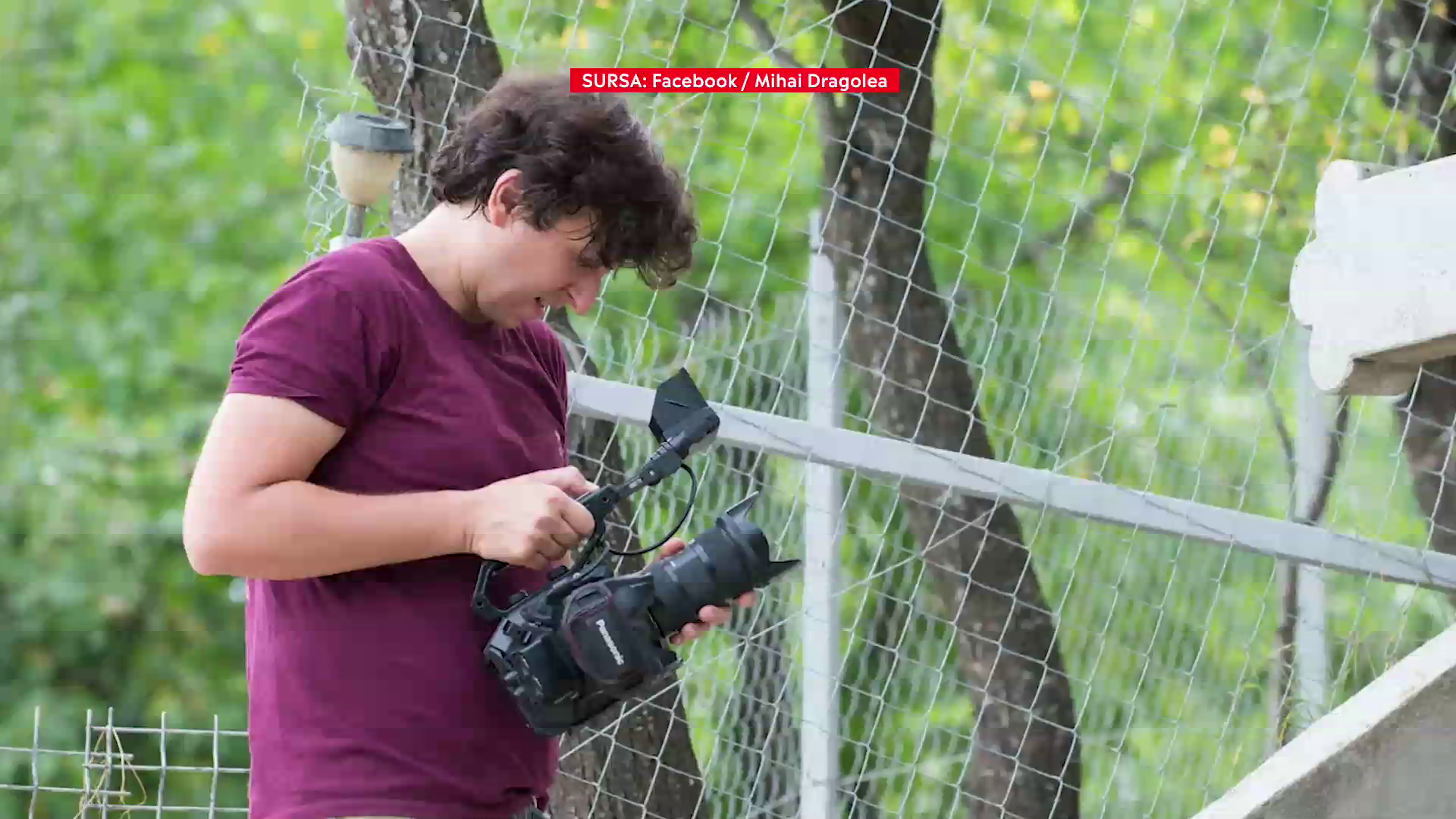 Regizorul Mihai Dragolea a împădurit un teren din Hunedoara și a filmat un documentar despre hoția din  păduri