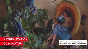 Idee de business în pandemie: Tablouri cu natură statică în care se adaugă personaje în miniatură