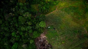 Pădurea Amazoniană