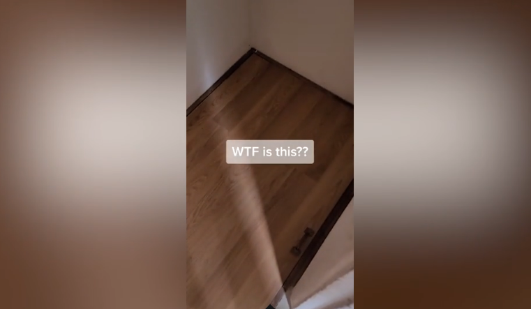 O tânără a găsit o ușă în podeaua casei în care tocmai s-a mutat. Ce a descoperit când a ridicat trapa. Video-ul a devenit viral