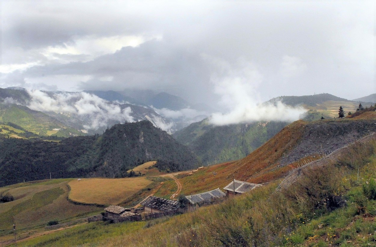 OMS anunță că ar fi identificat originea COVID-19. Cum au fost infectați primii oameni