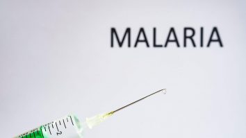 Un vaccin împotriva malariei a fost testat cu succes. Poate fi o descoperiră medicală majoră