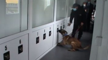 Câini dresați COVID