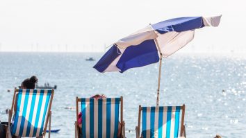 Programul „Litoralul pentru animale de companie” este legea USR PLUS care a ajuns în Senat. Ce spun proprietarii de animale