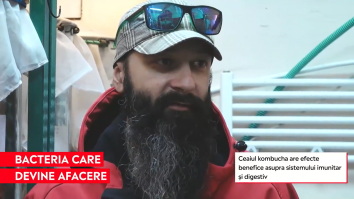 Doi români au reușit să facă bani dintr-o bacterie vie. Afacerea de succes care se bazează pe o ciupercă