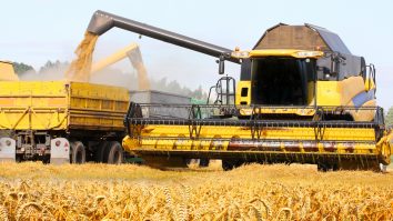 România vinde de nevoie și cumpără de foame: Exportăm sute de mii de tone de cereale pentru că nu avem fabrici de făină