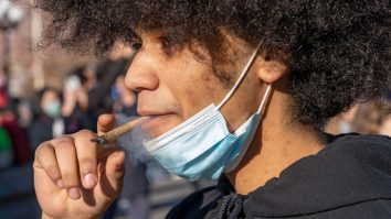 Marijuana ar putea fi legalizată în scop medicinal și recreativ în Mexic. Fiecare persoană ar avea voie să dețină 6 plante în gospodărie