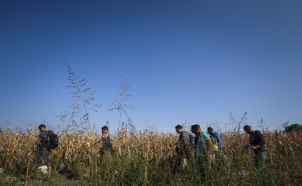 Mărturiile terifiante ale unui migrant, traumatizat de polițiștii români: „Dacă vă mai văd, vă omor, sap o groapă și vă îngrop acolo“