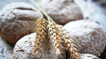 România nu are pâine. În zece ani importurile au crescut de opt ori