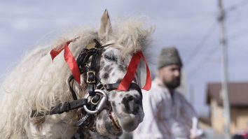 În prima de zi de Paște, „Imperiul Cailor” te cheamă la joacă cu familia