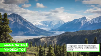 Terapia prin natură, cel mai bun mod de a scăpa de stres și depresie. Agitația din oraș ne suprasolicită creierul