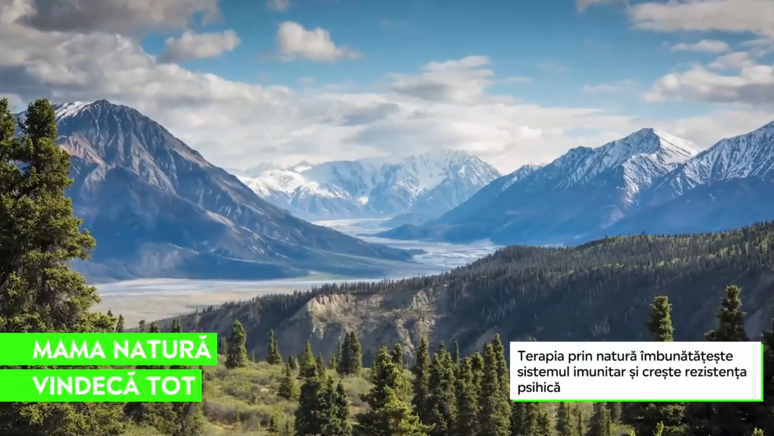 Terapia prin natură, cel mai bun mod de a scăpa de stres și depresie. Agitația din oraș ne suprasolicită creierul