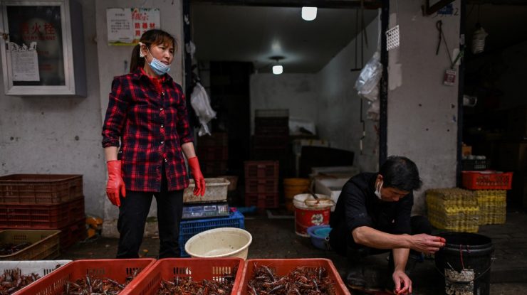 OMS avertizează că există riscul apariției unor noi pandemii. Solicitarea urgentă a Organizației