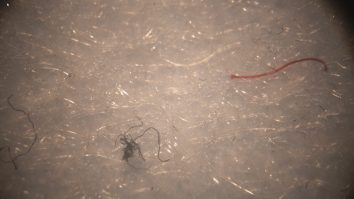 Viermi din măștile de protecție? Fizicianul Cristian Presură elucidează „misterul”