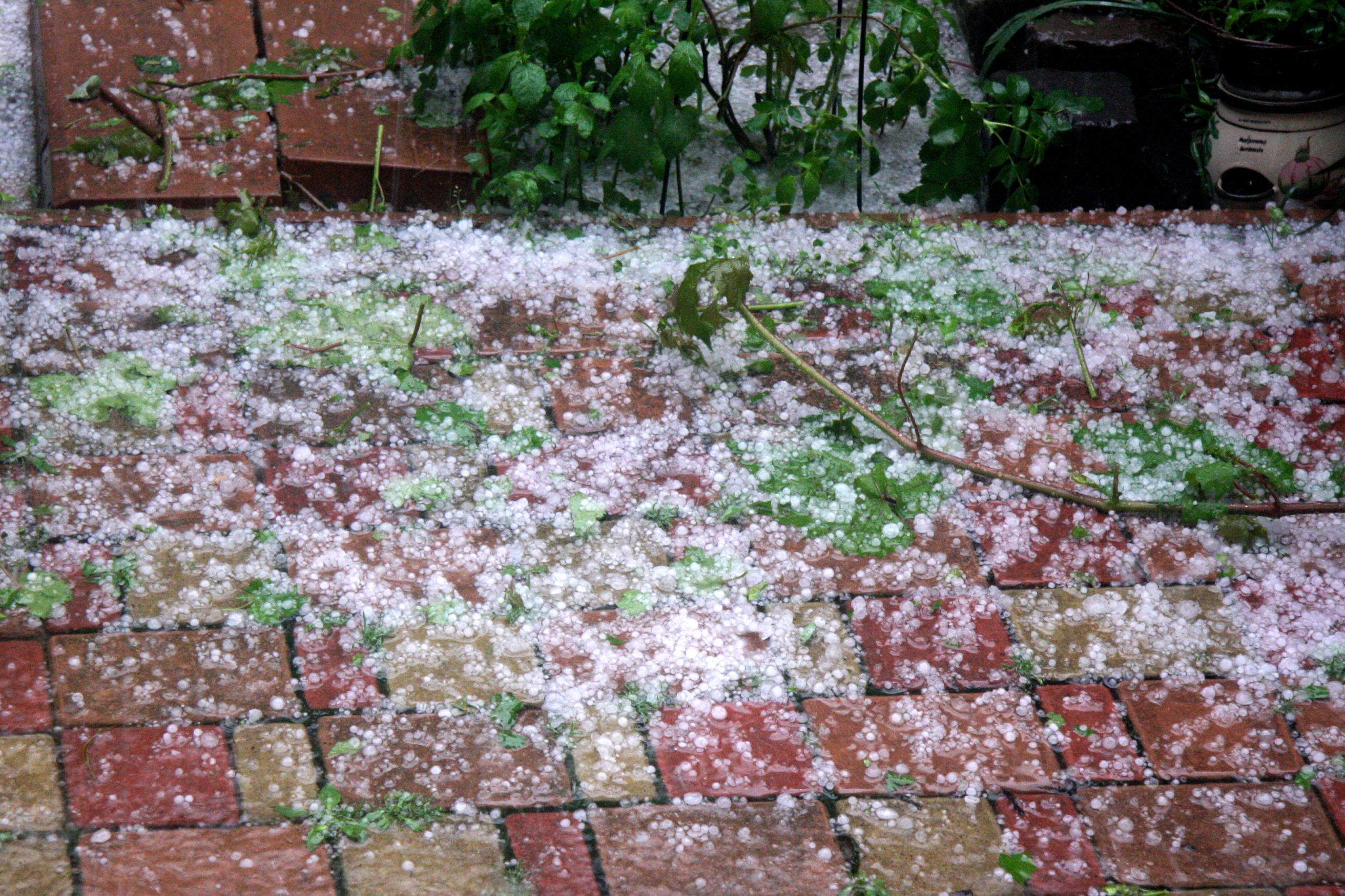 Sistemele antigrindină, salvarea culturilor agricole. Câte hectare pot fi protejate în România