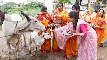 Excrementele şi urina de vacă, folosite în tratamente anti-Covid în India. Ce spun oamenii de ştiinţă