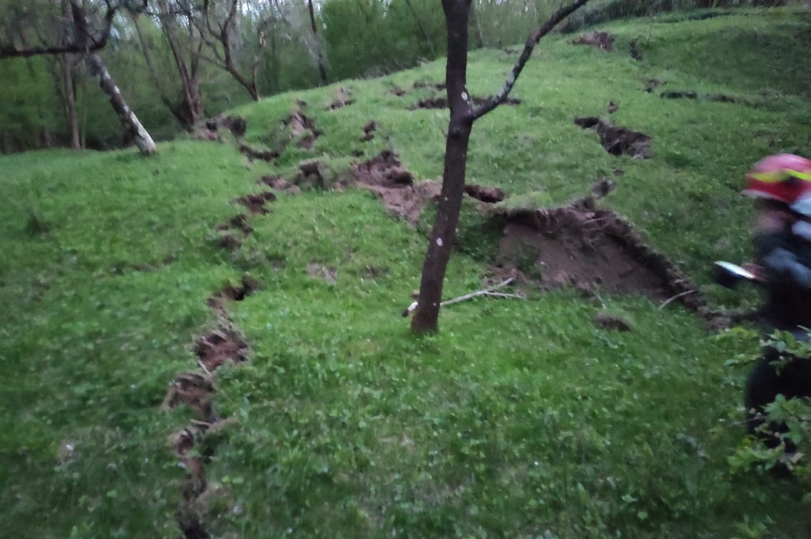 Un hectar de teren costă mai mult în România faţă de Franţa sau Ungaria. Iată ce arată datele Eurostat