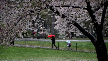 Un bărbat se plimbă pe o alee dintr-un parc și ține o umbrelă deasupra capului.