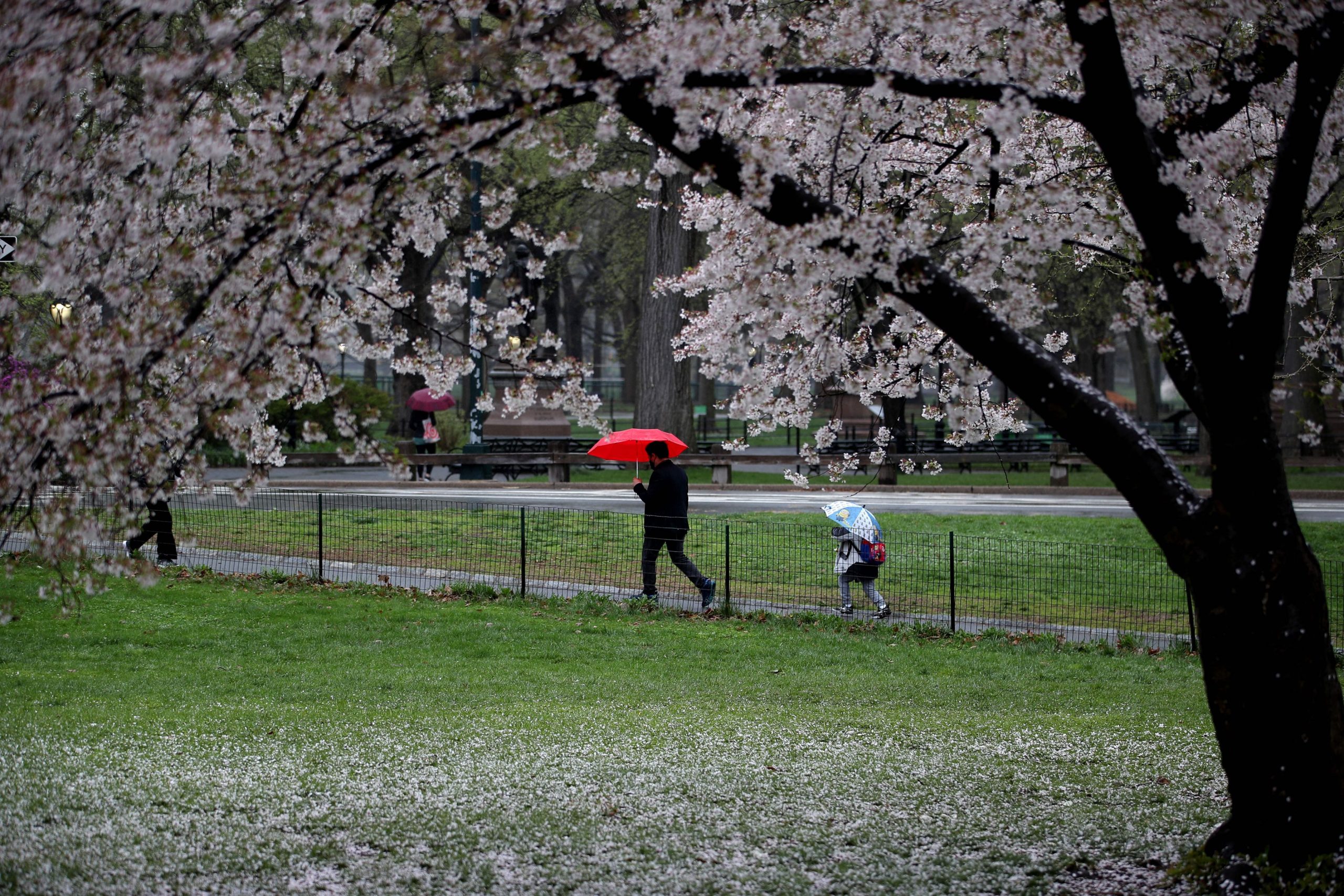 METEO, 27 mai. Prognoza ANM pentru ziua de joi. Vremea va fi instabilă și se va răcori