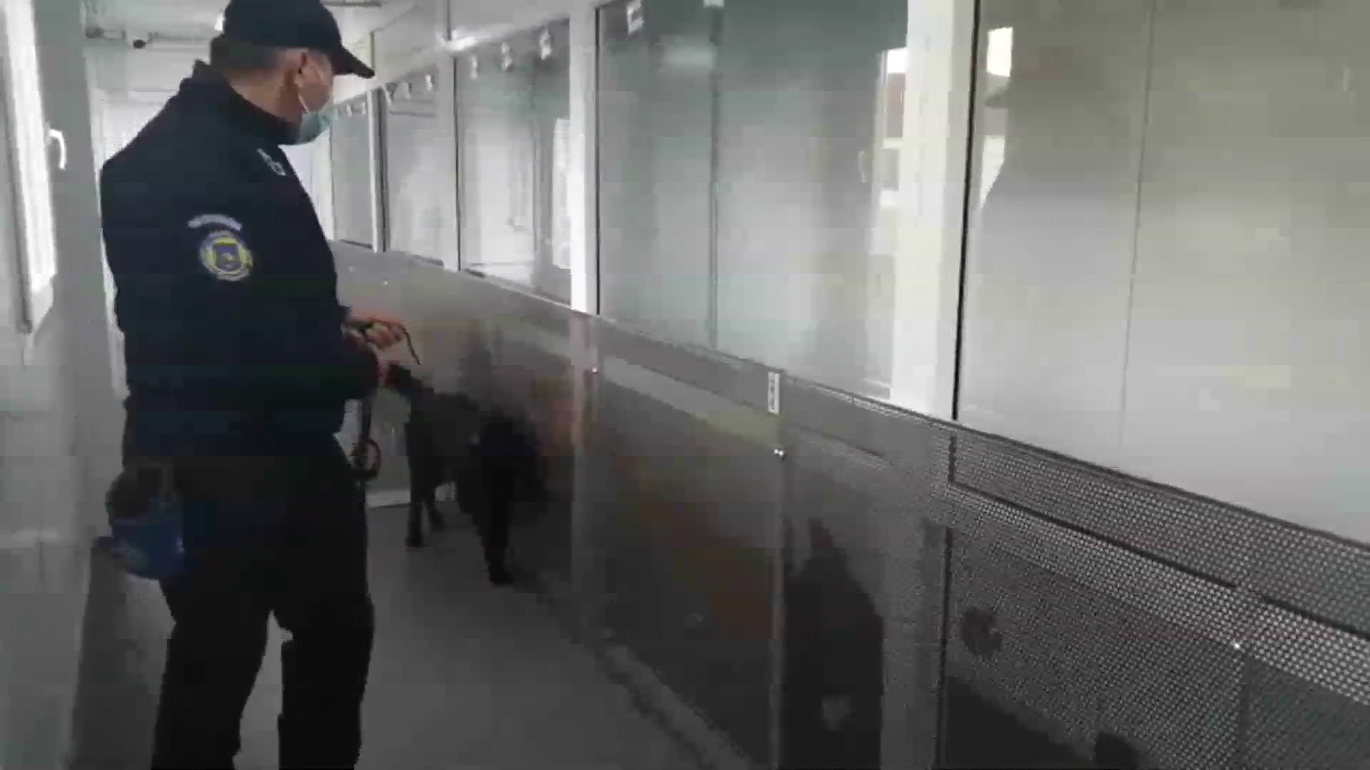 Câinele din România care este antrenat să identifice persoanele infectate cu coronavirus