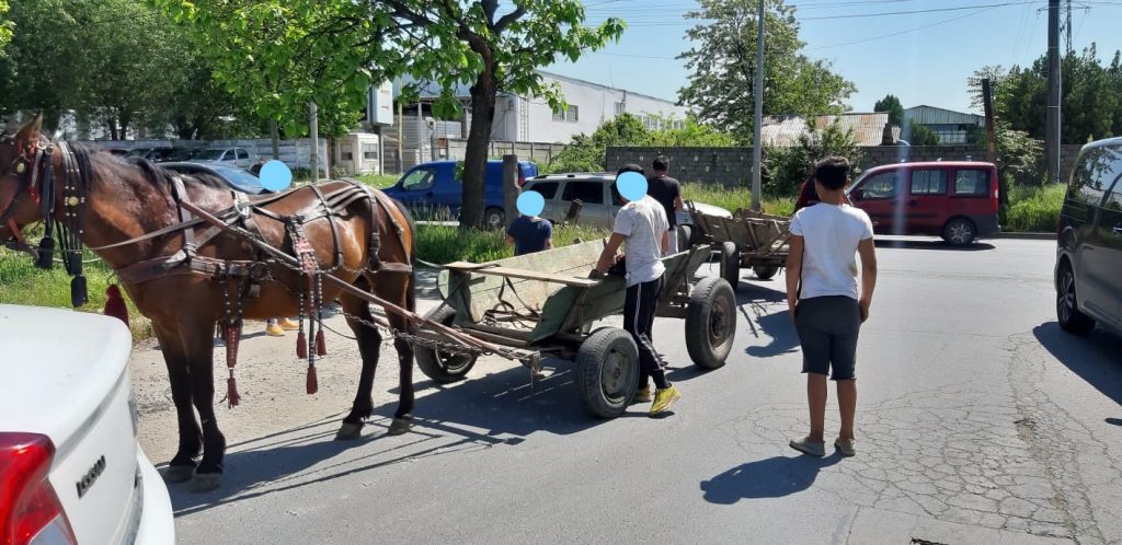 Ce au pățit mai mulți oameni care au trecut cu căruțele prin București. FOTO