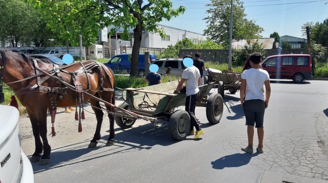 Ce au pățit mai mulți oameni care au trecut cu căruțele prin București. FOTO
