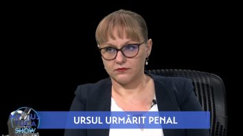 Cătălina Rădulescu, avocatul Agent Green, despre cazul ursului Arthur: „Nu știm nici câți urși sunt în România”