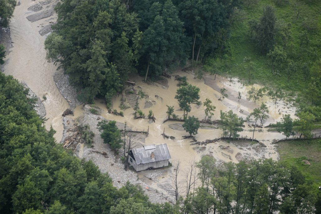 cod-galben-inundatii