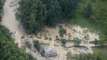 cod-galben-inundatii