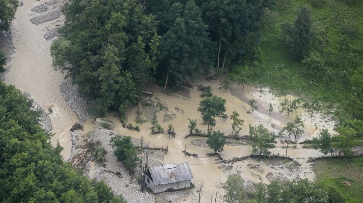 cod-galben-inundatii