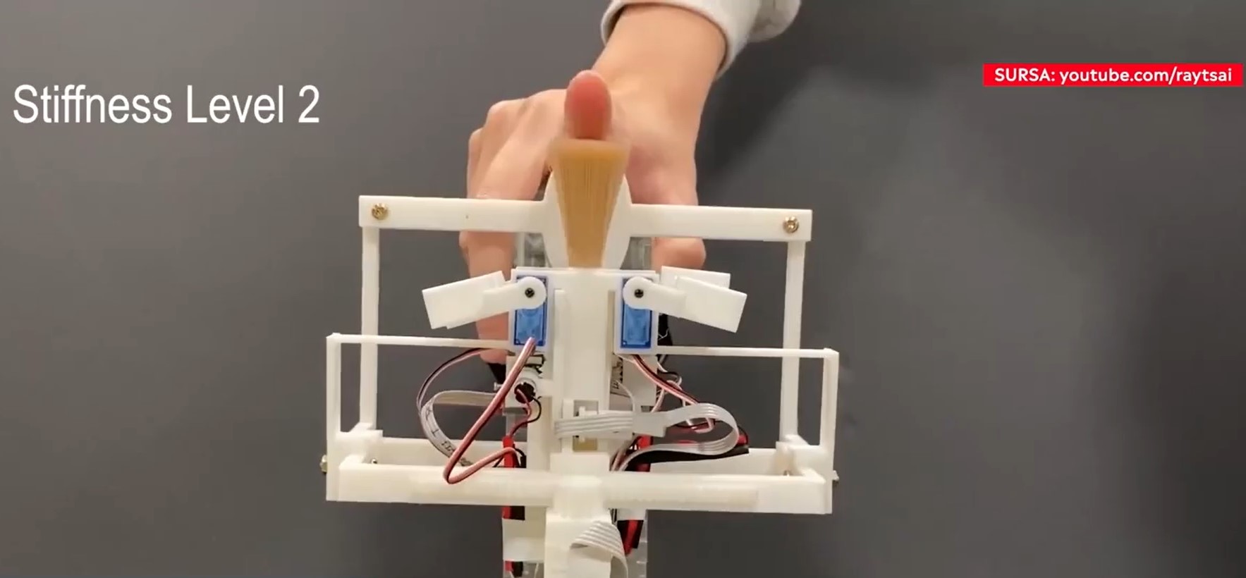 Cum poți să mângâi o pisică virtuală. Device-ul creat de cercetători. VIDEO