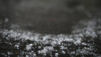 Grindina cazuta pe un trotuar.