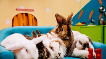 Top 10 cadouri pe care să le oferi în ziua de Paște