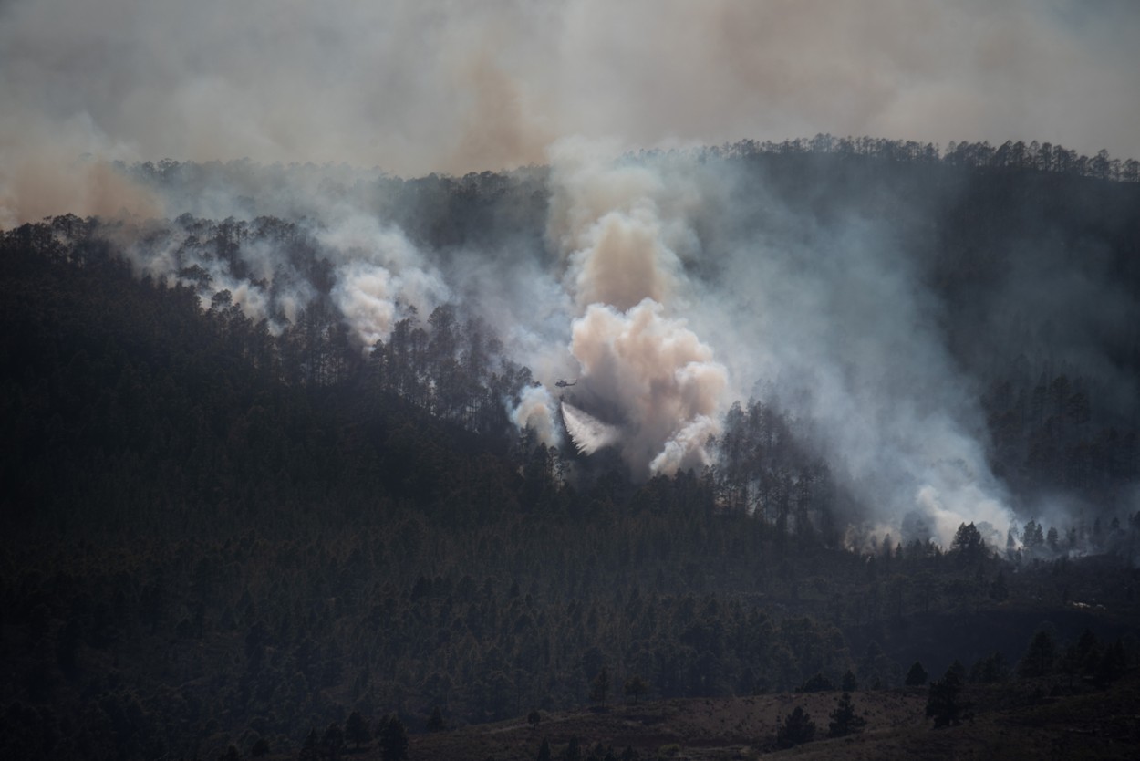 Incendiu în Tenerife. Peste 3.300 de hectare de vegetaţie au fost înghiţite de flăcări