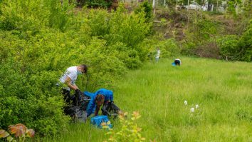 (P) Mișcarea „O Românie Curată Începe de Acasă” se extinde la nivel național. 700 de kilograme de deșeuri colectate de 160 de voluntari în 6 locații din toată România