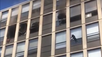 O pisică a supraviețuit după ce a sărit de la etajul cinci al unei clădiri în flăcări. VIDEO