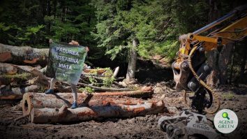 Protest în Parcul Naţional Bucegi, de Ziua Europeană a Parcurilor. Agent Green reclamă tăieri ilegale de pădure