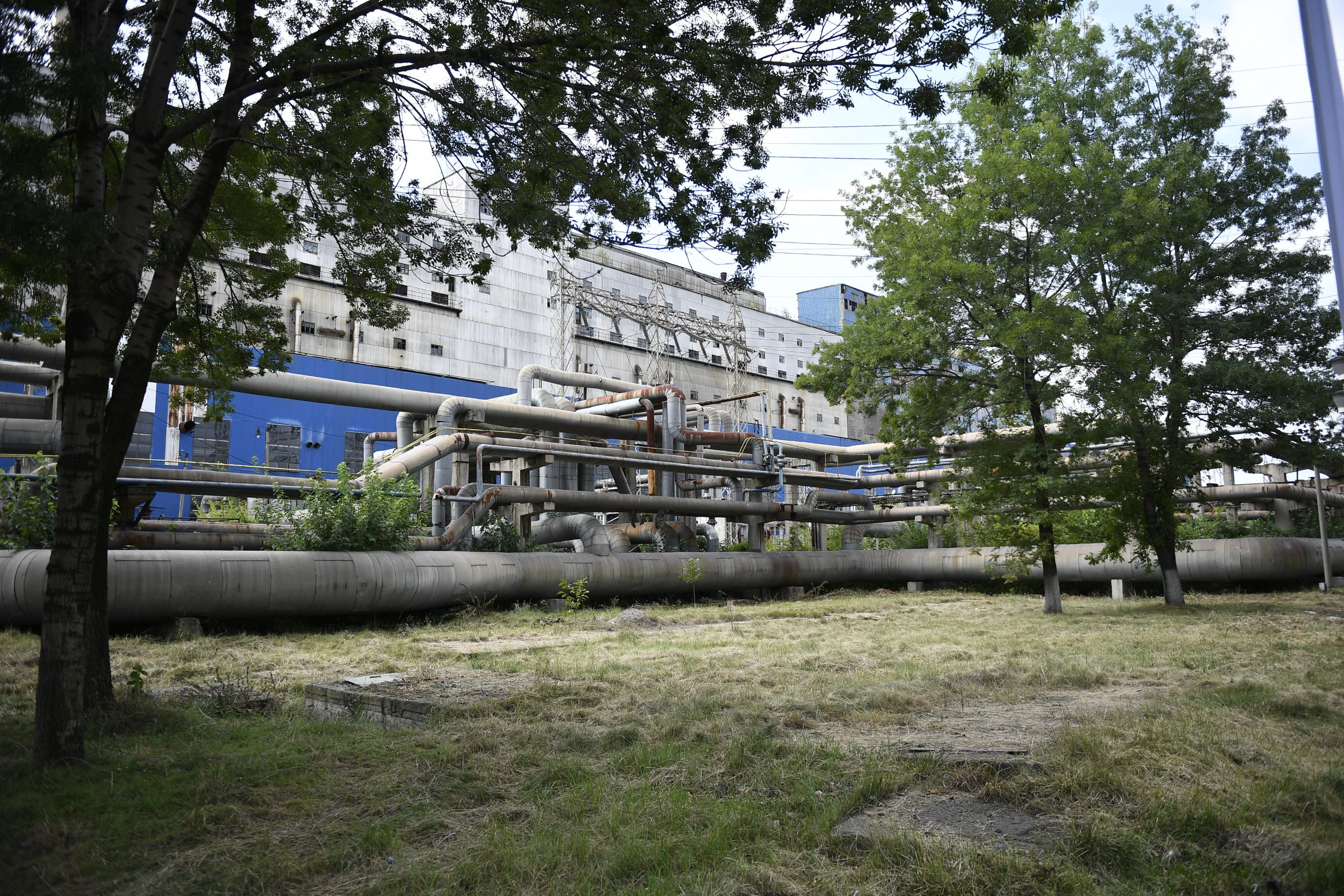 „Perlele” statului român la Bursa din București. Romgaz, Transgaz ori Nuclearelectrica, printre cele mai profitabile