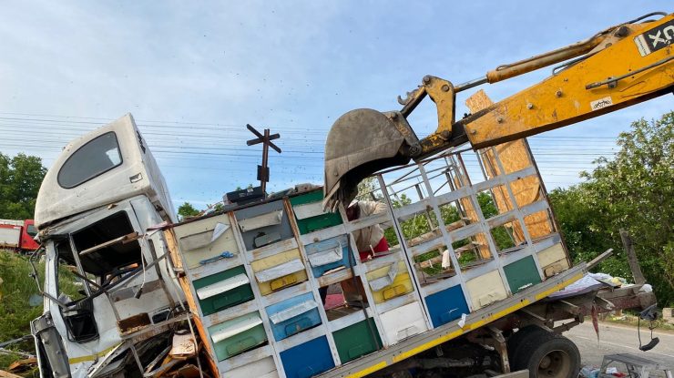 Un camion cu 70 de stupi de albine a fost lovit de un tren de călători