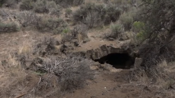 VIDEO. Descoperirea uimitoare făcută de doi americani în curtea casei: „Am fost șocat cât de mare era”