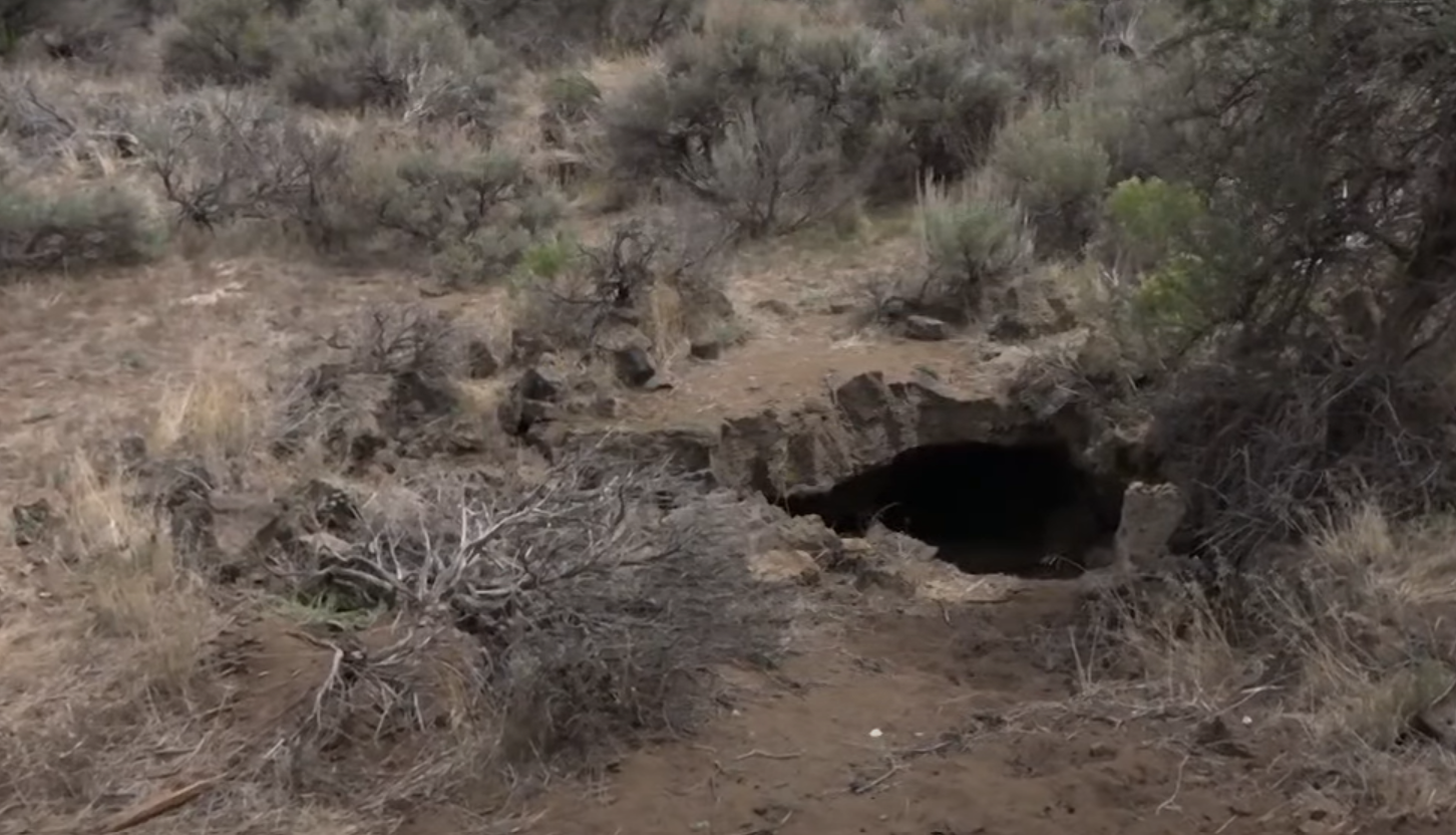 VIDEO. Descoperirea uimitoare făcută de doi americani în curtea casei: „Am fost șocat cât de mare era”