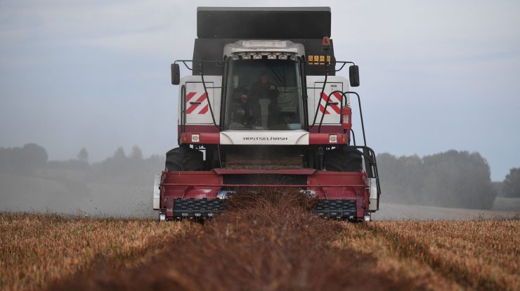 Migranți de origine afro-asiatică, călcați de un utilaj agricol în timp ce dormeau într-un lan de rapiță din Timiș