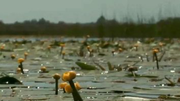 Vacanța de o zi, soluția pentru cei fără timp liber. Ce destinații poți alege