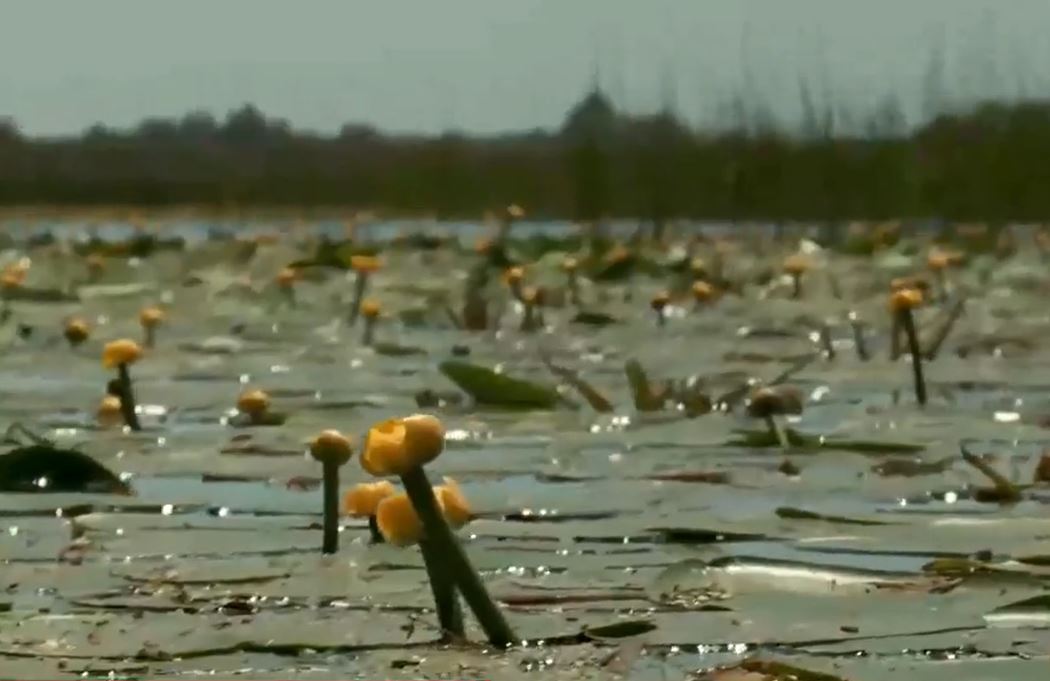 Vacanța de o zi, soluția pentru cei fără timp liber. Ce destinații poți alege